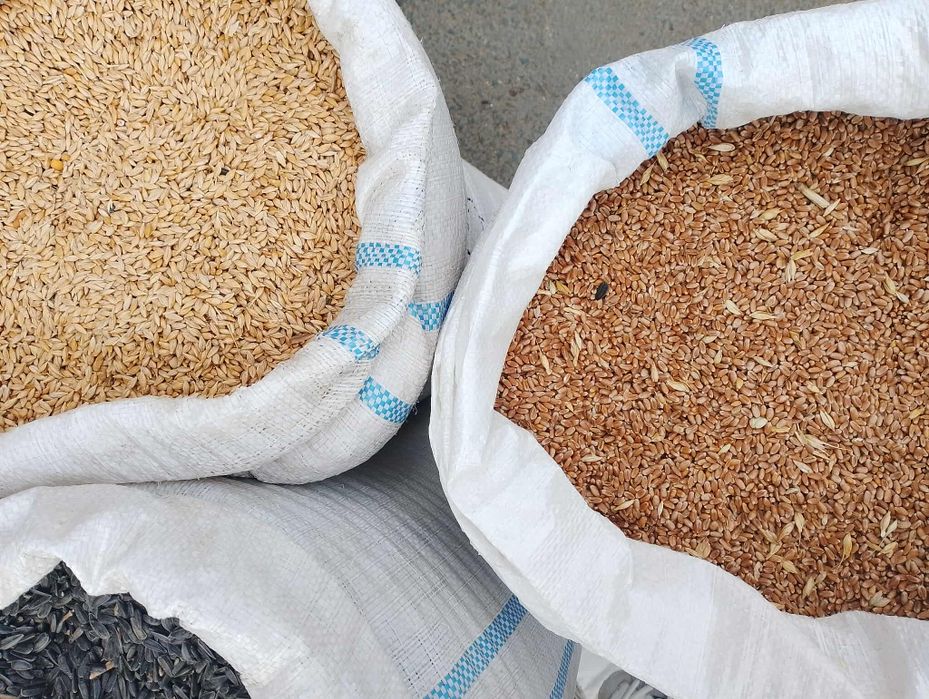 Vând cereale de anul asta!