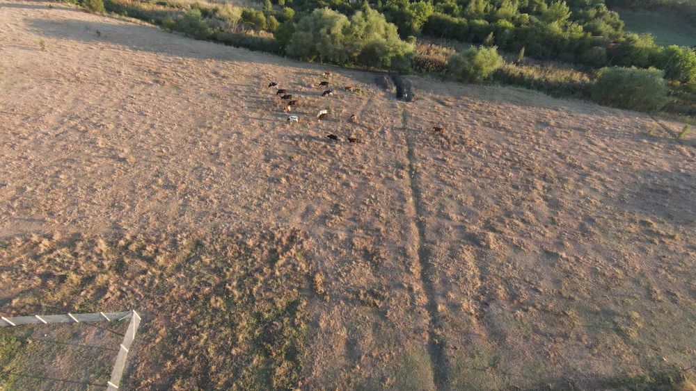 Продава се Парцел в с. Пъстрен, Област Стара Загора - 1500 кв.м за 5 €/кв.м - Снимка #1