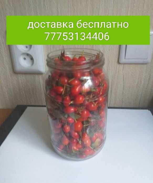 Тегін жеткізу ягоды жидектер көкөністер жемістер овощи фрукты