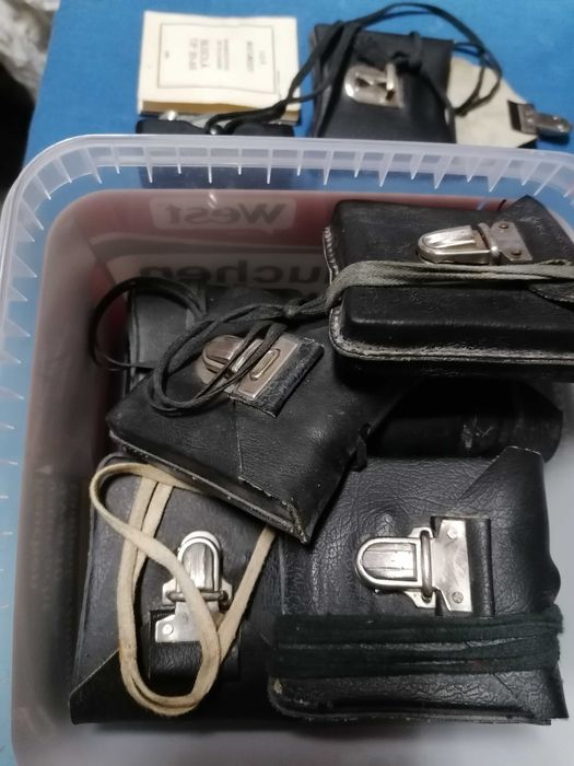 Busola armata  B1-69