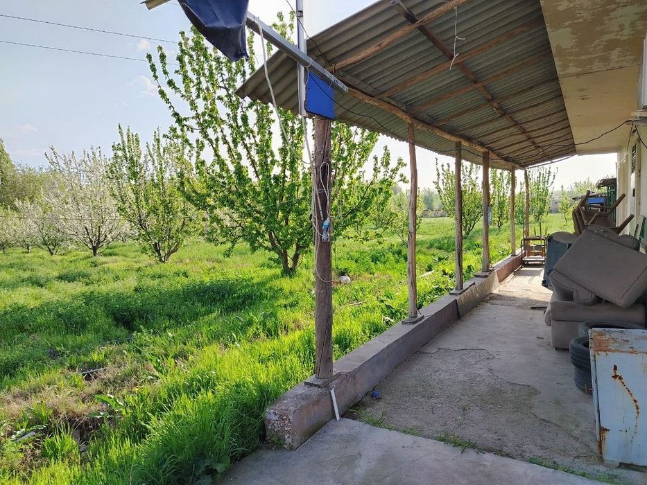 Ташморяда 60 стокли ер