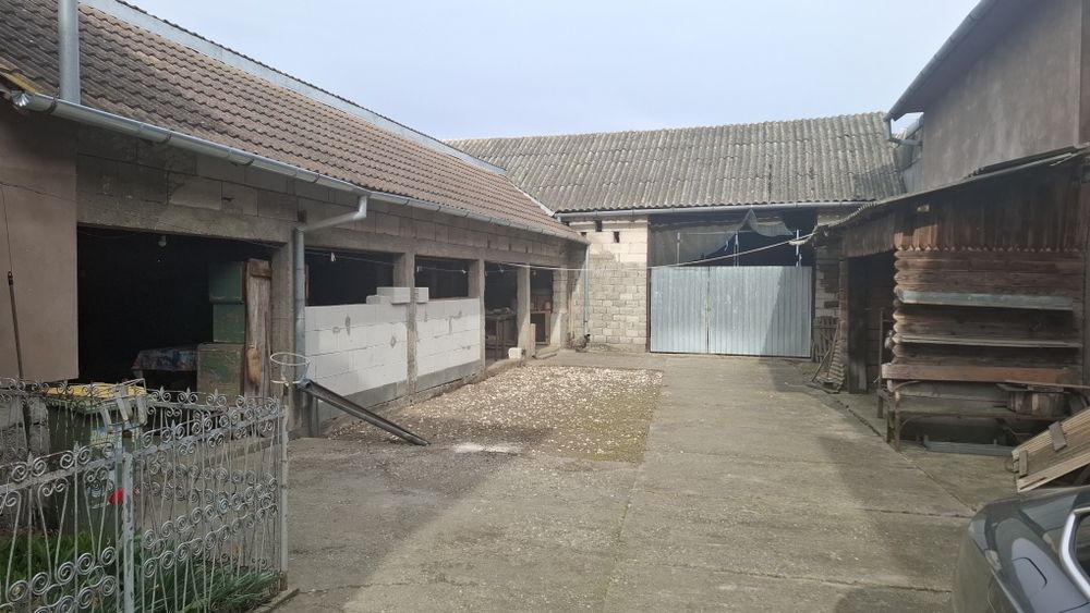 Vind casa cu anexe si gradina