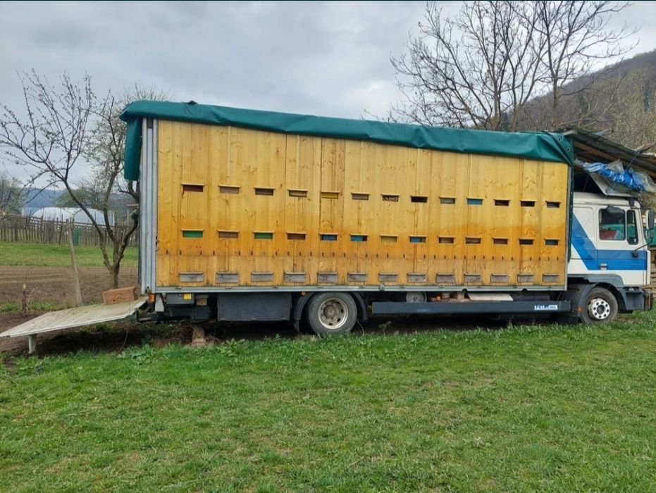 Vând camion apicol