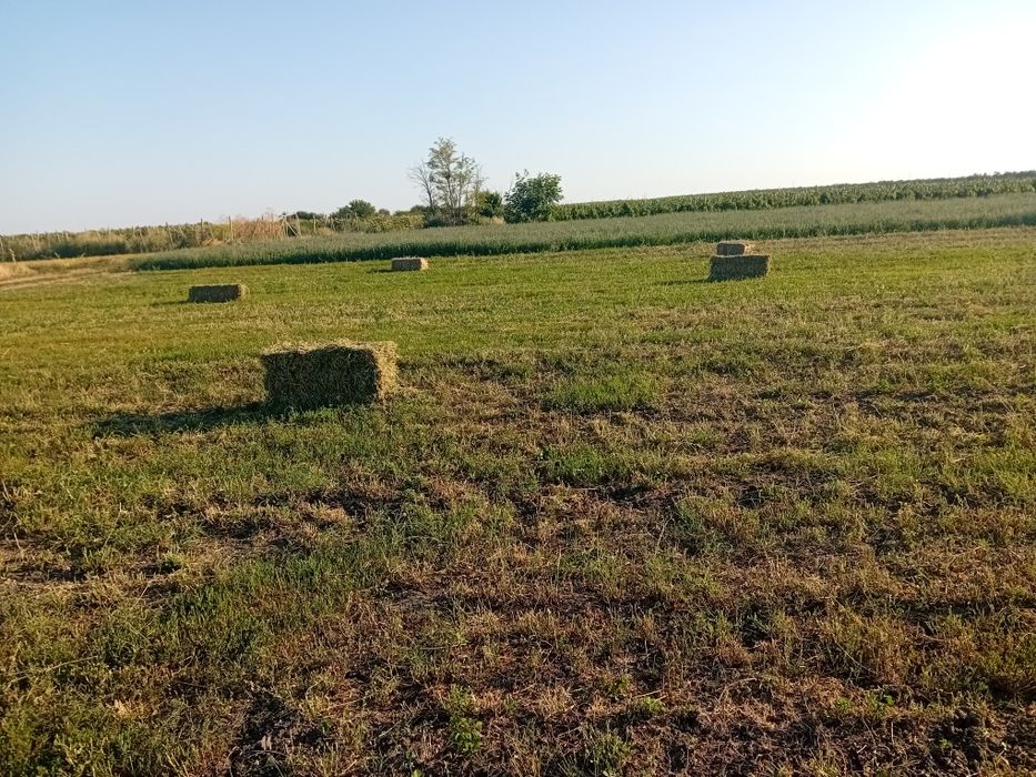 Vand Baloti lucerna ,coasă a 3,