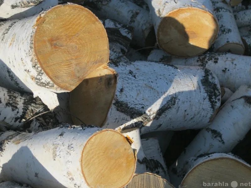 Продам дрова швырок