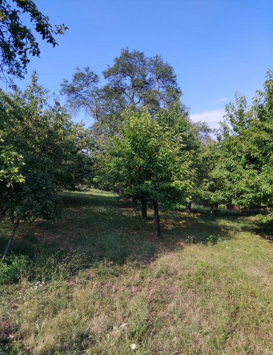 Продава парцел в с.Кадровица обл.Кюстендил