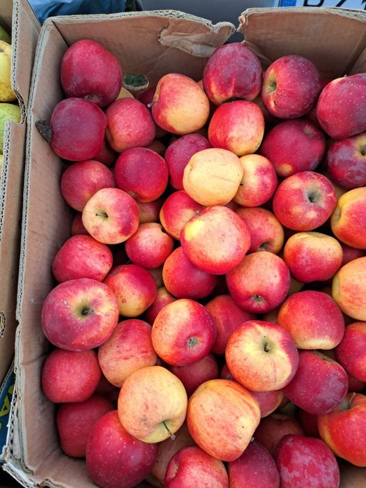 Vând mere calitate superioară