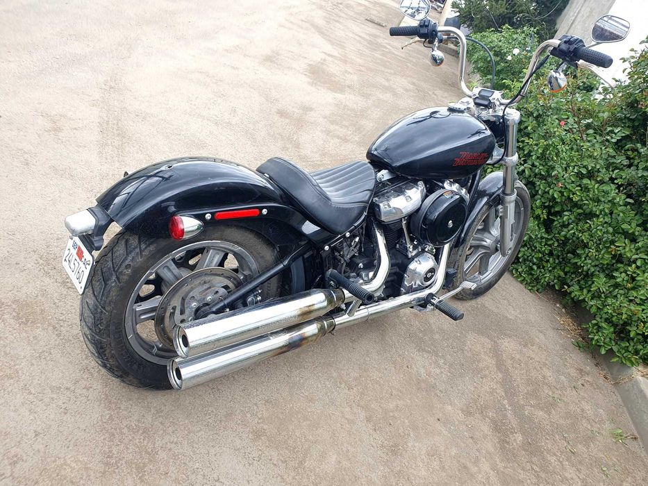 Harley Davidson FXST Softail standard, Motor 1745 cc, 87 cp, an 2023