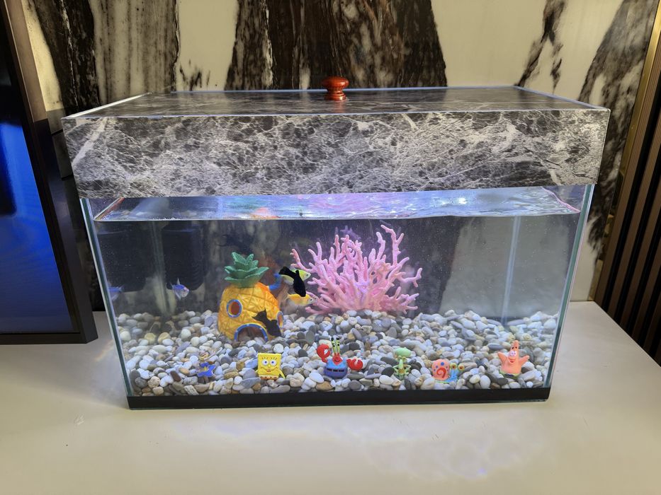 Продам аквариум с рыбками