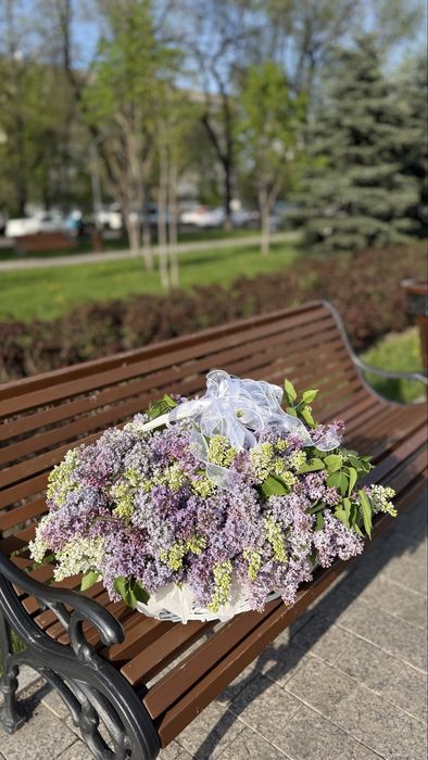 Сирень от 5 тыс свежие только