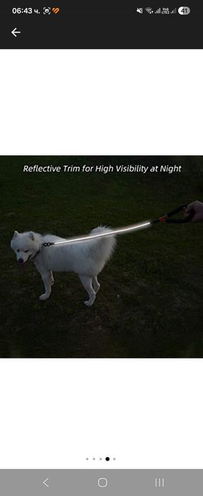 Светлоотразителна разтегателна каишка за кучета, бънджи, за обучение