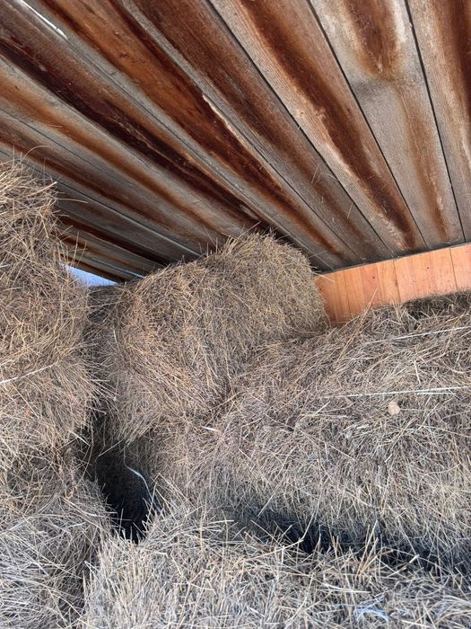 всем доброго время суток