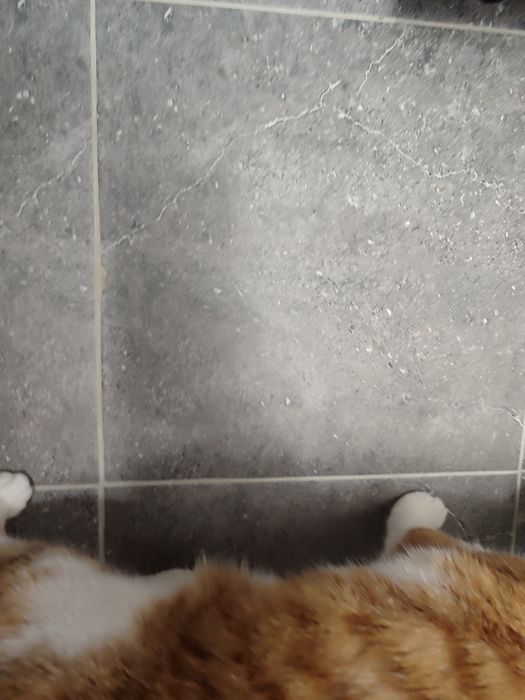 Плитка керамогранит