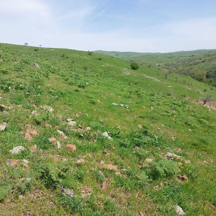 Земельный участок в Тюлькубасском районе