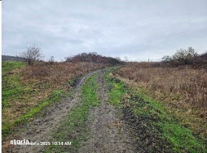 4 terenuri extravilane Muntenii de Jos, cota parte 1/2 ; ID: R2922169