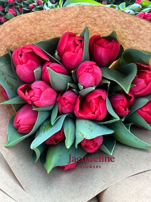 Премиальные тюльпаны оптом