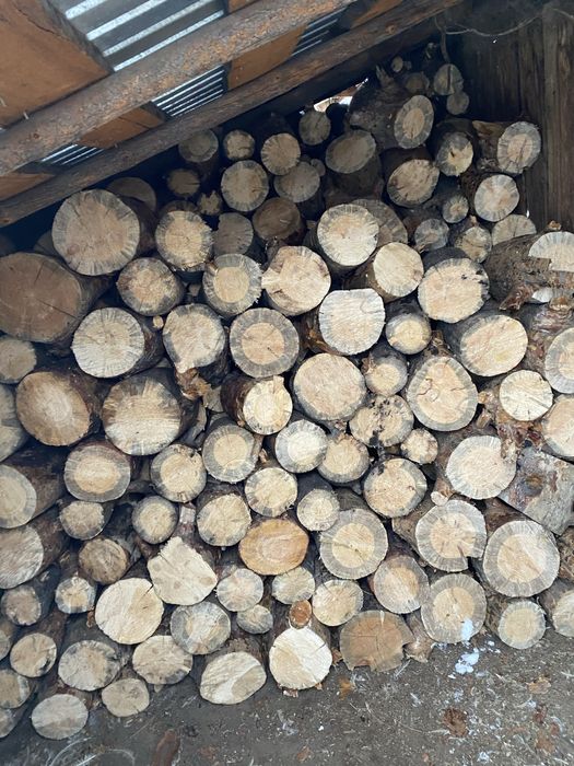 Продам дрова в мешках