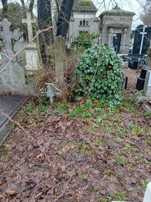 Loc de veci cimitirul Bellu