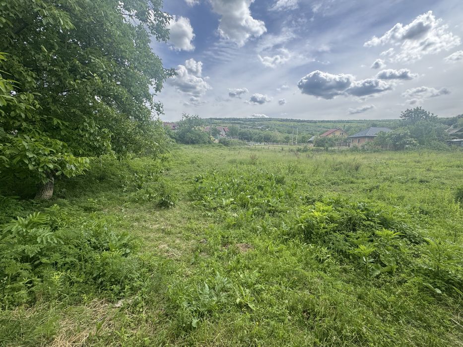 Teren de vânzare Goruni, Tomești – 1600 MP  - Parcelabil