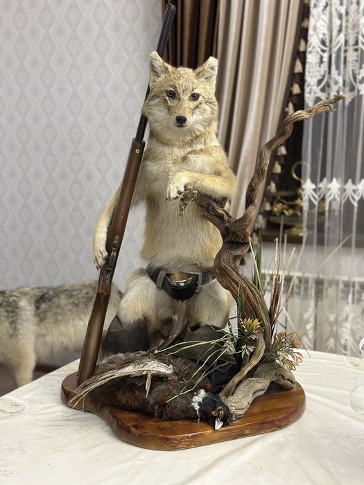 Продам чучело животного