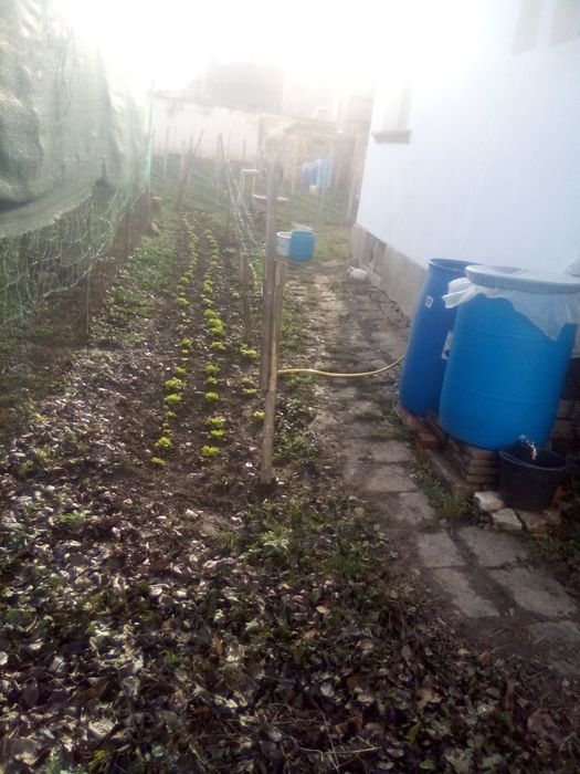 Продава се Къща в с. Телиш, Област Плевен - 81 кв.м за 202 €/кв.м - Снимка #7