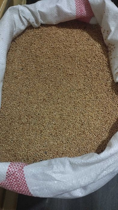 Продам просо красное и желтое