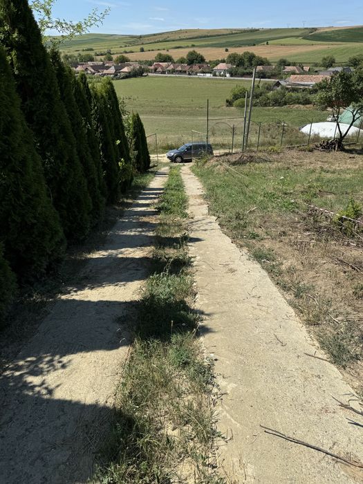 Loc de casa zona linistita + cabana bonus