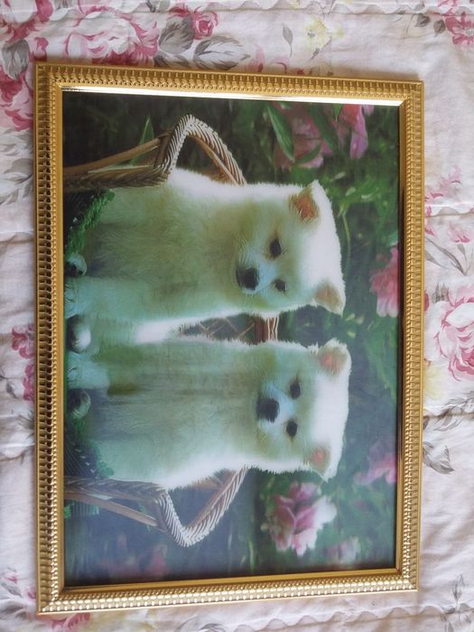 Картинка с щенятами