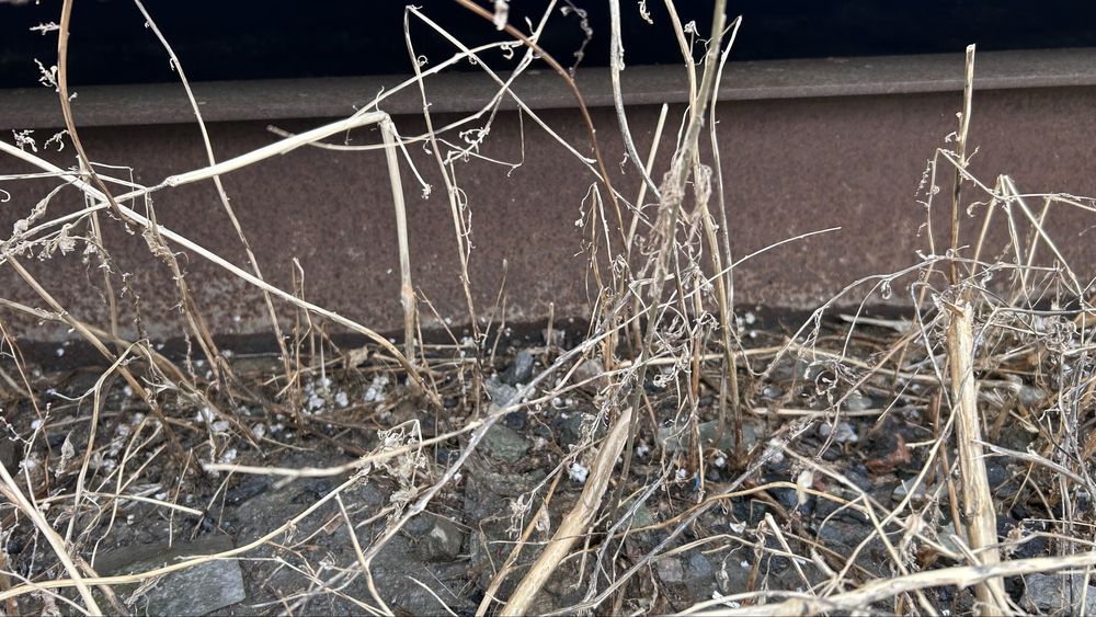 Жилой вагончик переносной