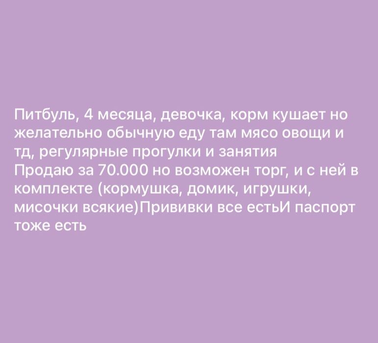 Продам собаку питбуль девочка .