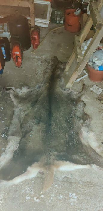 Piele de capra de vanzare