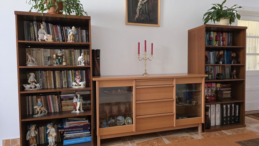 Mobilier bibliotecă și servantă