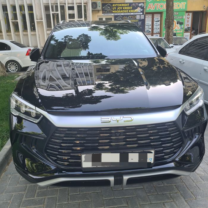 Byd song pro 2024