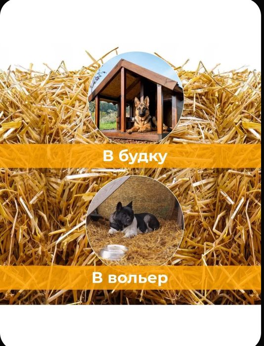 Солома в мешках, сабан, подстилка в городе