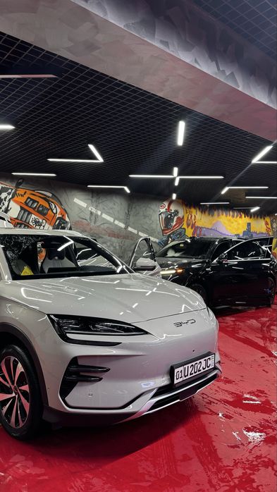 Byd Champion 605 full