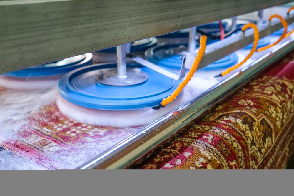 Қыздар мен жігіттердің тілектерінен ауызша секс туралы пікірлер