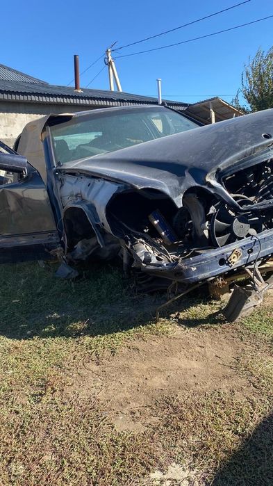 Мерседес лупарик