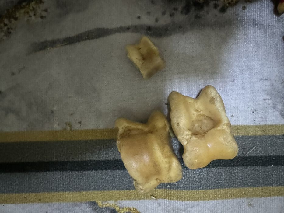 Асык для детей.