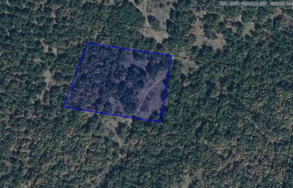 Продава се Парцел в с. Православ, Област Стара Загора - 6012 кв.м за 1 €/кв.м - Снимка #4