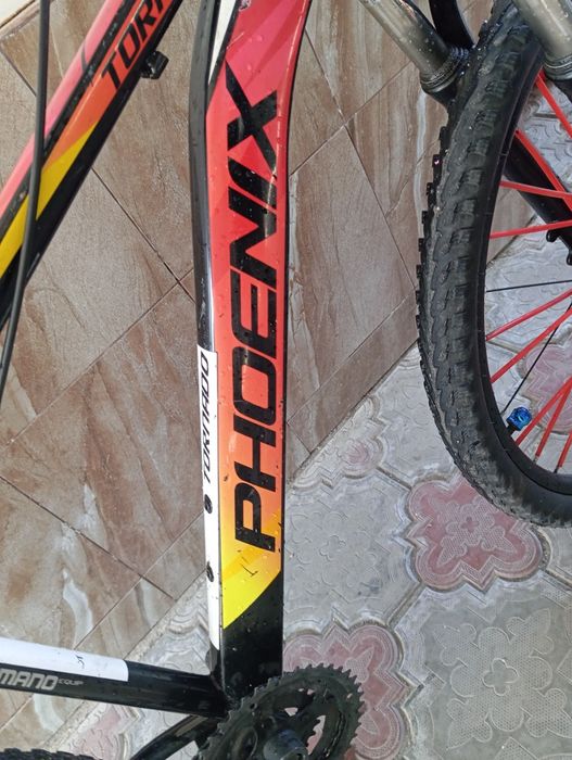 Стант велик PHOENIX