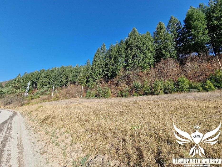 Продава се Парцел в с. Елховец, Област Смолян - 11000 кв.м за 2 €/кв.м - Снимка #19