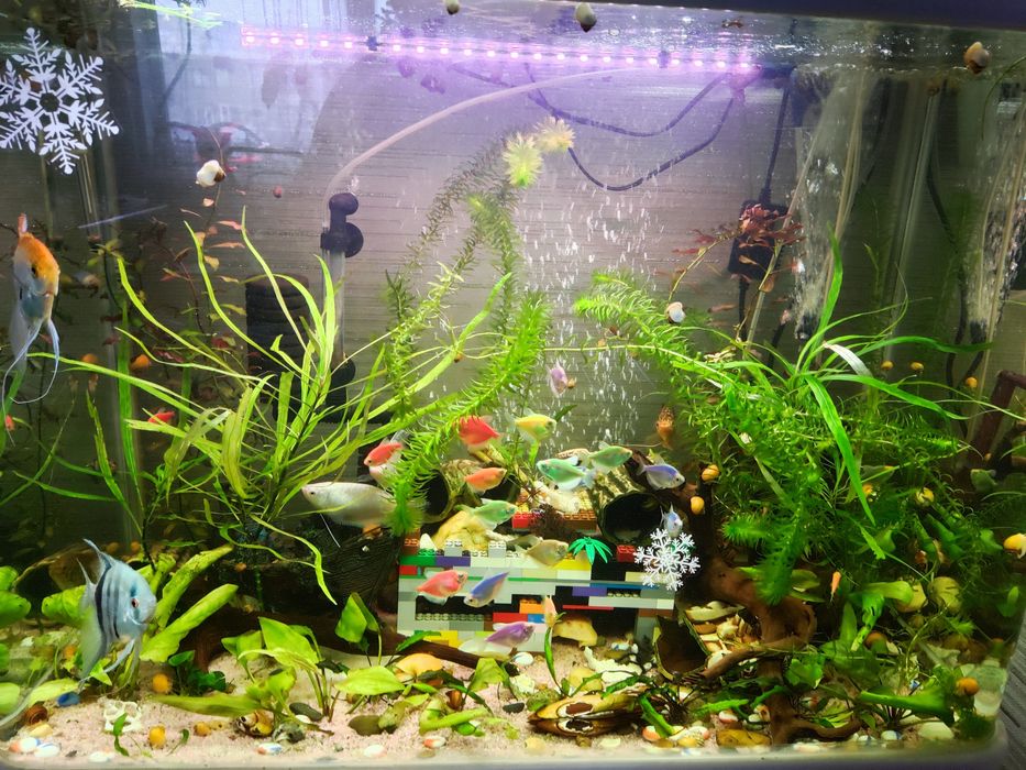 Аквариум 220 литров