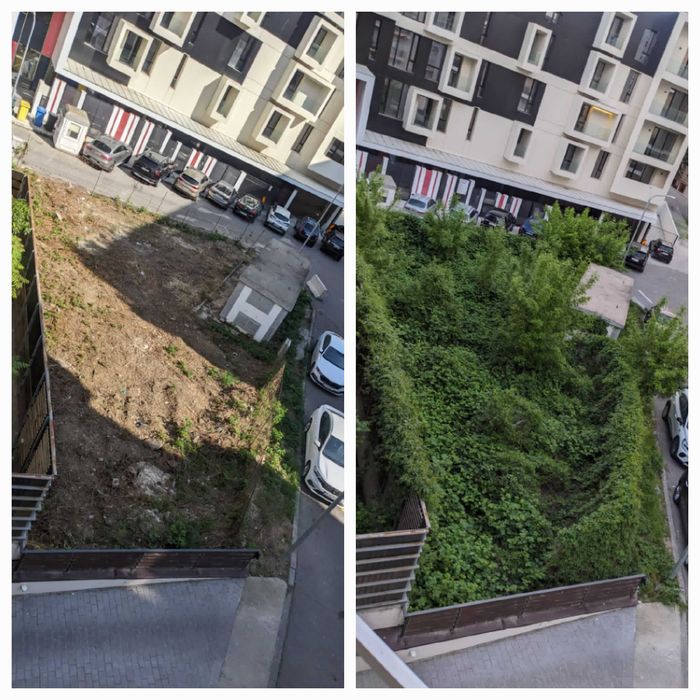 Curatare -  igienizare - defrisare - decopertare - nivelare terenuri