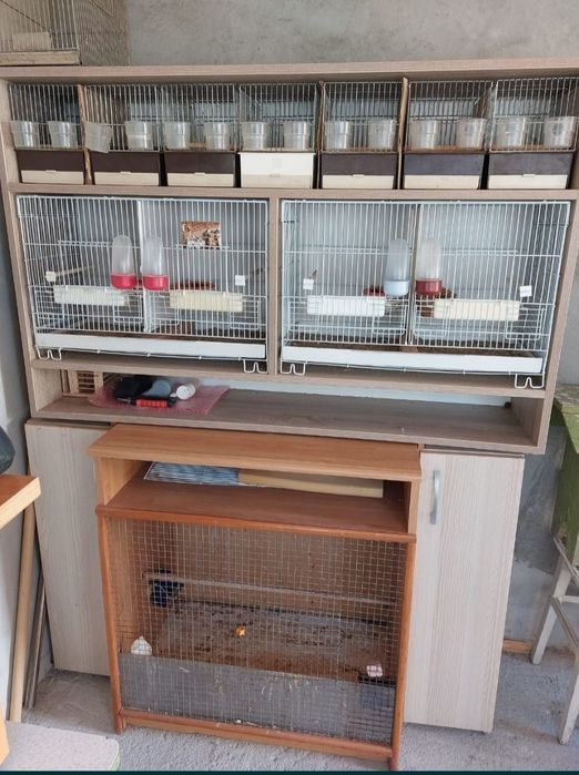 Mobilier pentru crsterea canarilor