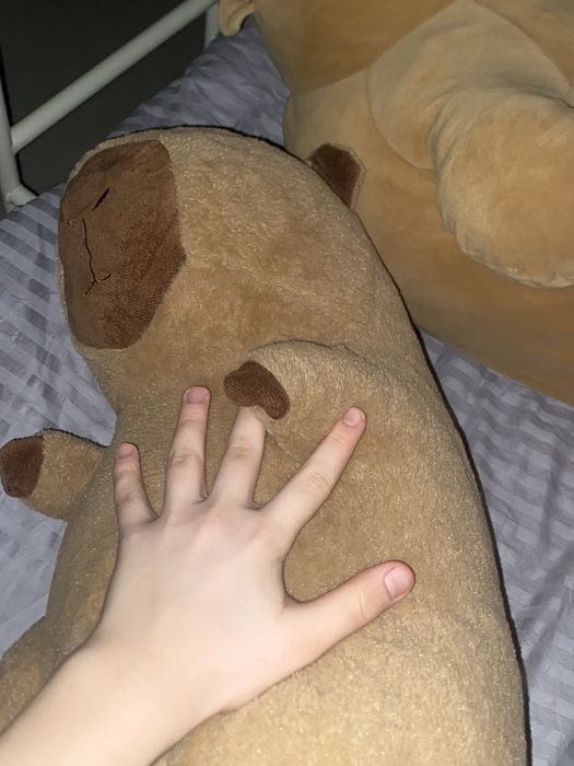 Мягкая игрушка капибара, plushie