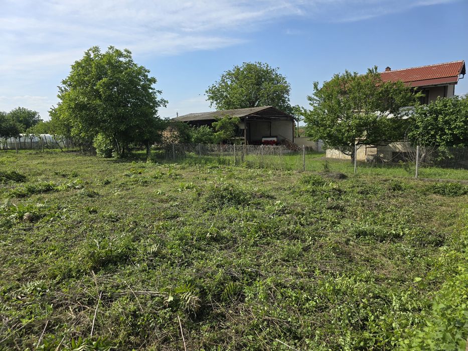 Почистване на дворове и др. услуги!!