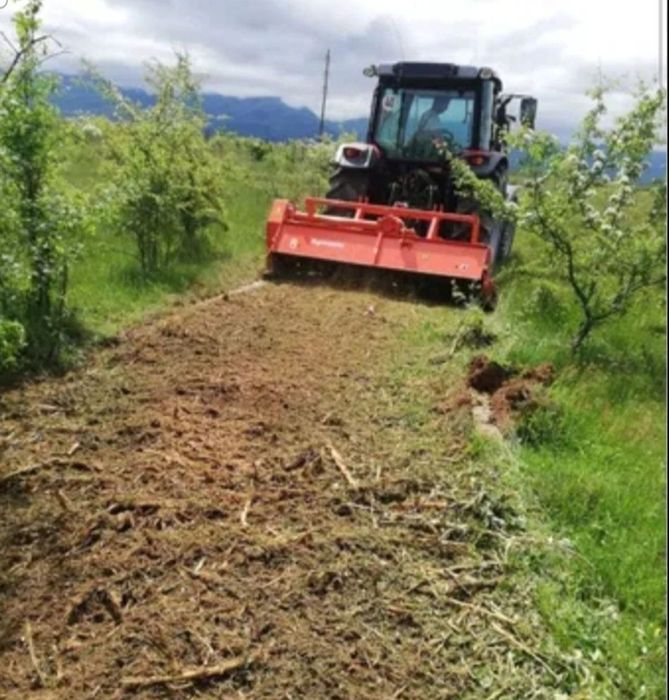 Defrisare/evacuare vegetatie necontrolata