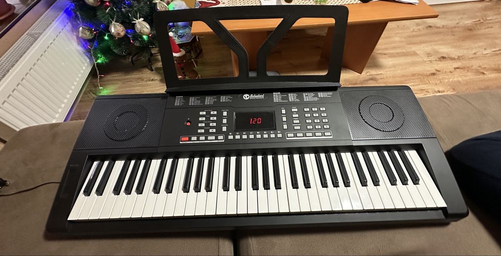 Йоника Schubert.