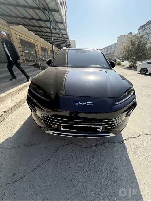 Byd song plus chempion gybrit