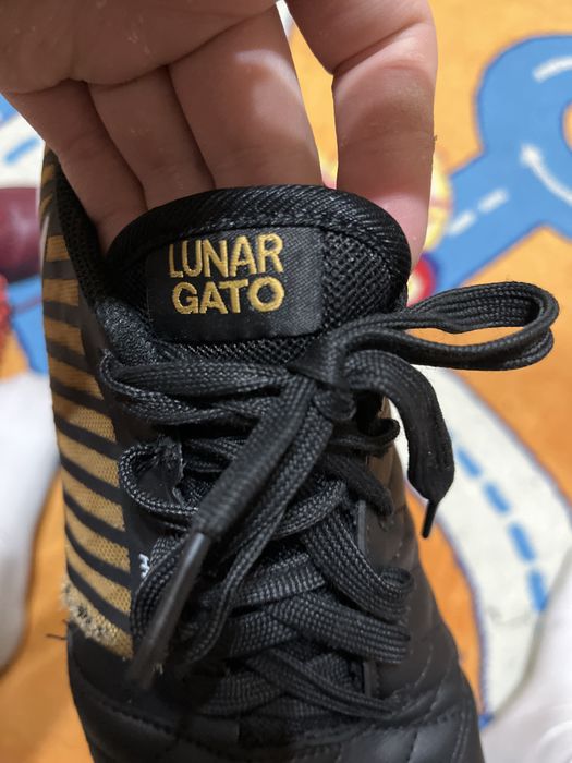 Сороканожки хорошие